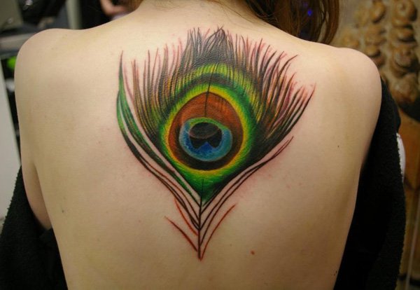 Peacock Feather Tattoo design on woman's back.