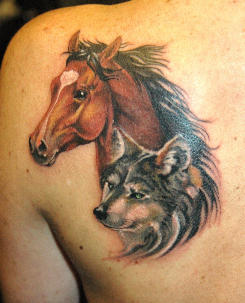 Horse Tattoo Designs on the back side.